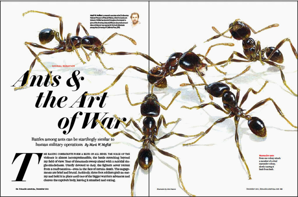 My Scientific American story Ants & the Art of War is included in the 2012 edition of Best American Science and Nature Writing