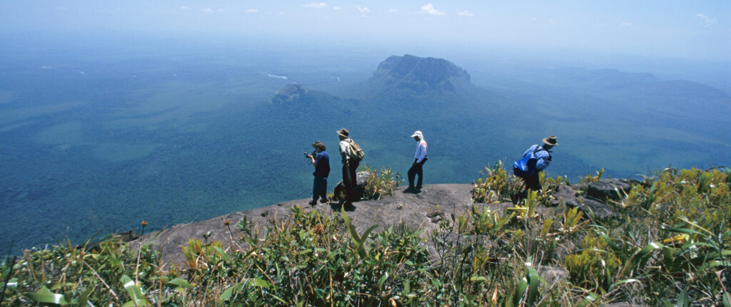 View from a half mile up on Autana tepui